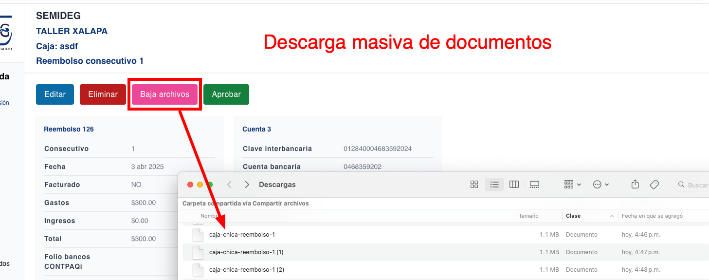 Descarga masiva de archivos para reembolsos de caja chica